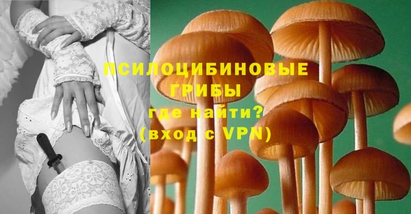 скорость Алексин