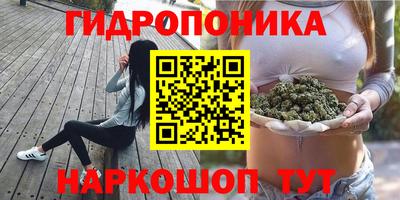 соль ск Обнинск