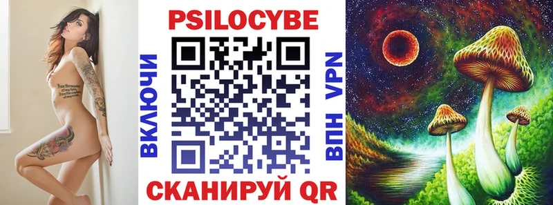 дарнет шоп  Тамбов  Галлюциногенные грибы Psilocybine cubensis 