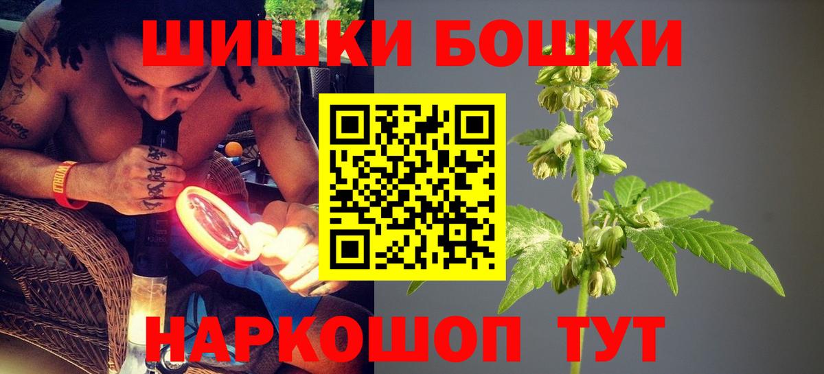 Бошки Шишки план  Вход с VPN  МАРИХУАНА SATIVA & INDICA  Тамбов  Конопля марихуана 